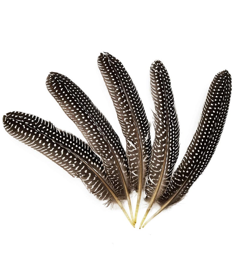 HAPPY FEATHER 6-9 inch Natural Guinea Wing Plumage Feather for DIY Craft, Jewelry and Clothing Decoration Pack of 20-Natural - Image 3
